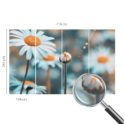 Fototapeta Delikatesa od kamilice