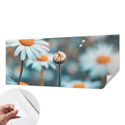 Fototapeta Delikatesa od kamilice