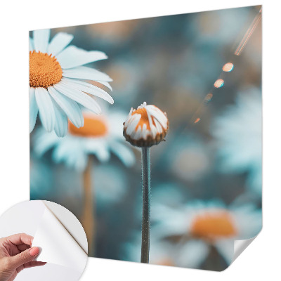 Fototapeta Delikatesa od kamilice