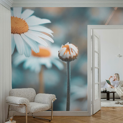 Fototapeta Delikatesa od kamilice