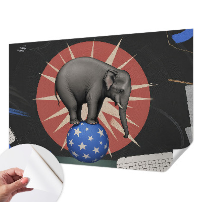 Samoljepljiva fototapeta Cirkuski slon