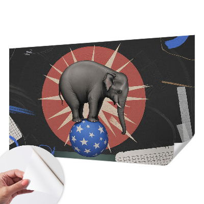 Samoljepljiva fototapeta Cirkuski slon