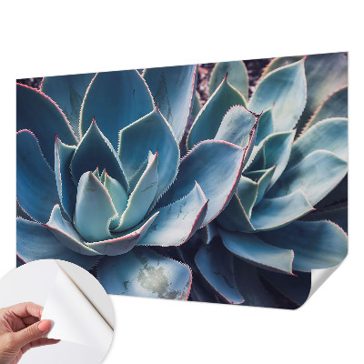 Samoljepljiva foto tapeta s motivom zelene aloe