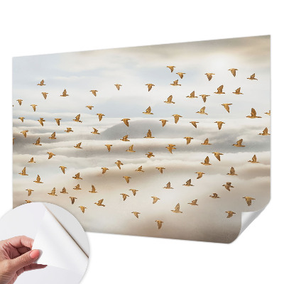 Dječja fototapeta Ptice u letu