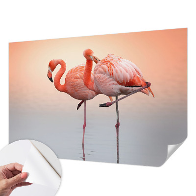 Samoljepljiva fototapeta za dnevni boravak s motivom nježnih flamingosa