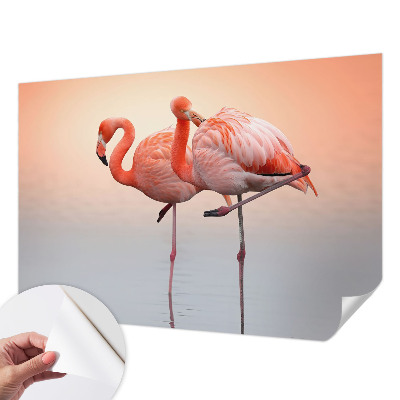 Samoljepljiva fototapeta za dnevni boravak Nježni flamingosi