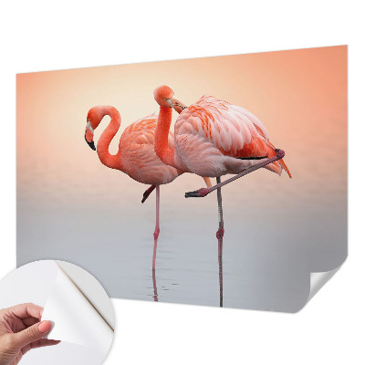 Samoljepljiva fototapeta za dnevni boravak Nježni flamingosi