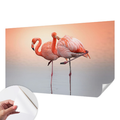 Samoljepljiva fototapeta za dnevni boravak Nježni flamingosi