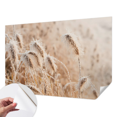 Foto tapeta za dječju sobu Zimski krajolik