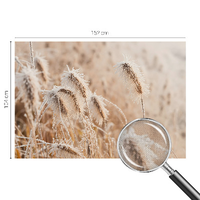 Foto tapeta za dječju sobu Zimski krajolik