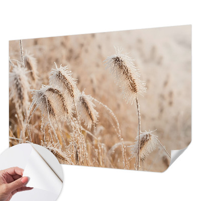 Foto tapeta za dječju sobu Zimski krajolik