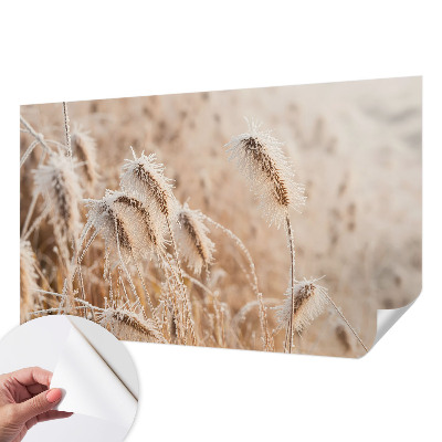 Foto tapeta za dječju sobu Zimski krajolik