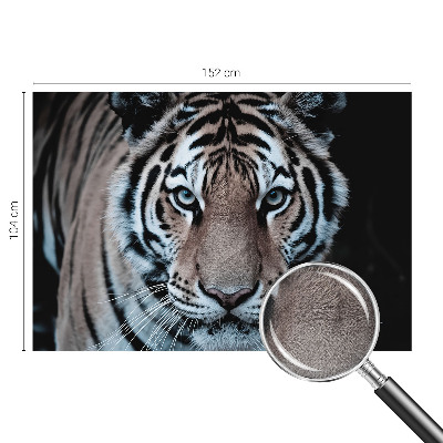 Samoljepljiva fototapeta Portret tigra