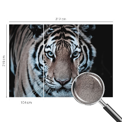 Samoljepljiva fototapeta Portret tigra