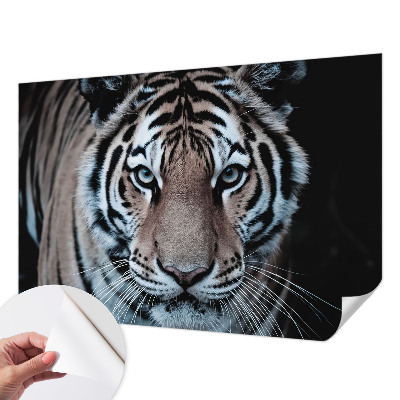 Samoljepljiva fototapeta Portret tigra