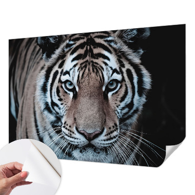 Samoljepljiva fototapeta Portret tigra