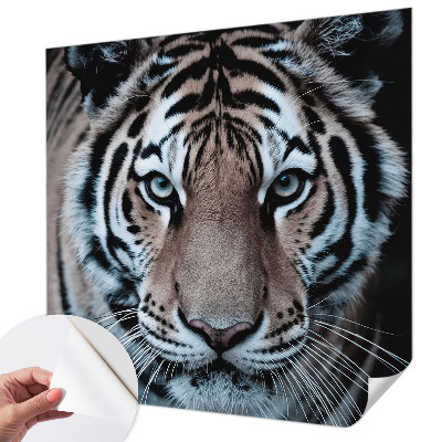 Samoljepljiva fototapeta Portret tigra