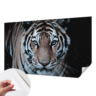 Samoljepljiva fototapeta Portret tigra