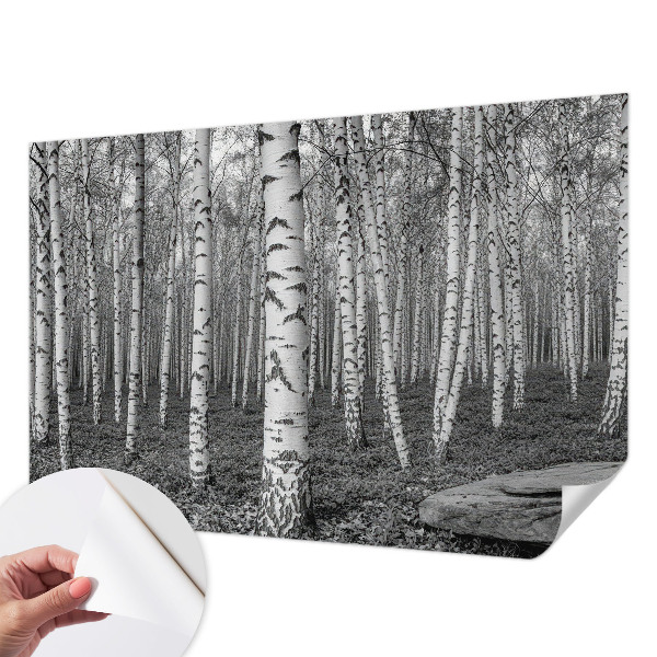 Fototapeta za dječju sobu Brezova šuma