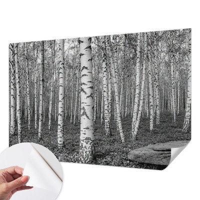 Fototapeta za dječju sobu s motivom breze u prirodnim bojama