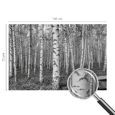 Fototapeta za dječju sobu Brezova šuma