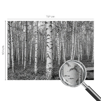 Fototapeta za dječju sobu Brezova šuma
