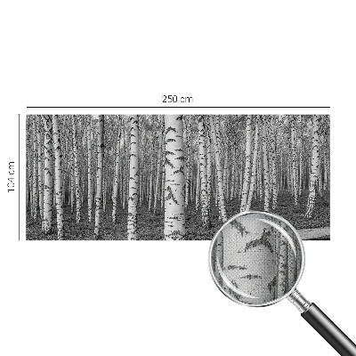 Fototapeta za dječju sobu Brezova šuma