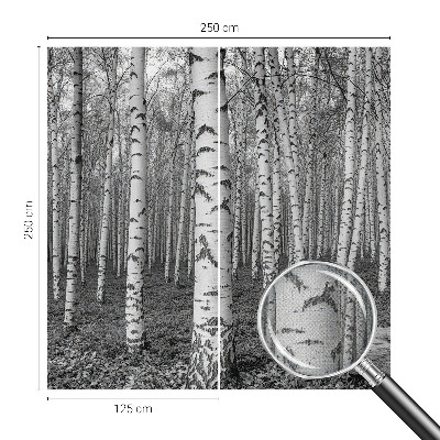 Fototapeta za dječju sobu Brezova šuma