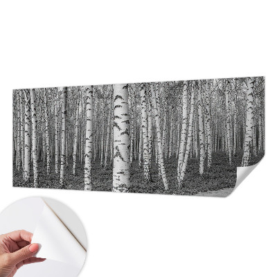 Fototapeta za dječju sobu Brezova šuma