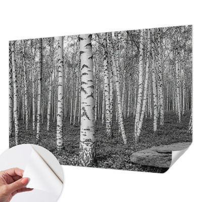 Fototapeta za dječju sobu Brezova šuma