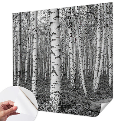 Fototapeta za dječju sobu Brezova šuma