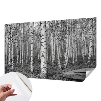 Fototapeta za dječju sobu Brezova šuma