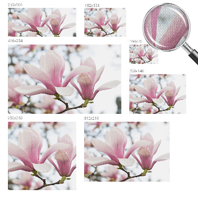 Samoljepljiva fototapeta za dnevni boravak Cvjetovi magnolije