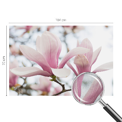 Samoljepljiva fototapeta za dnevni boravak Cvjetovi magnolije