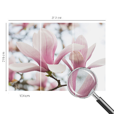 Samoljepljiva fototapeta za dnevni boravak Cvjetovi magnolije