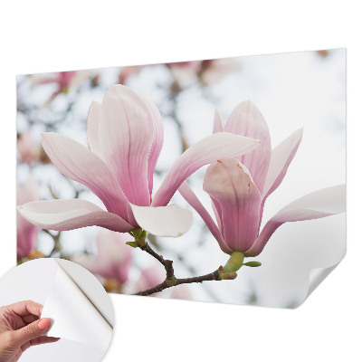 Samoljepljiva fototapeta za dnevni boravak Cvjetovi magnolije
