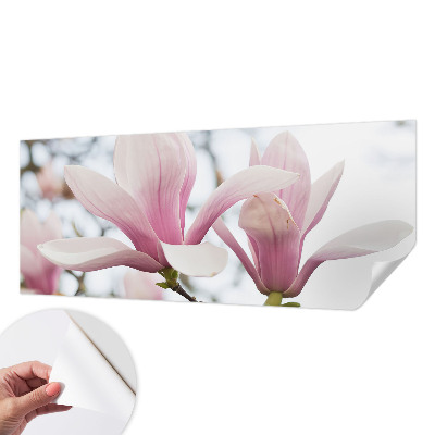 Samoljepljiva fototapeta za dnevni boravak Cvjetovi magnolije