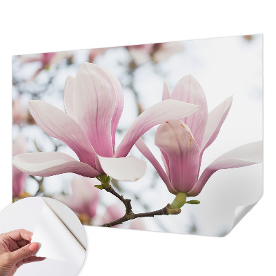Samoljepljiva fototapeta za dnevni boravak Cvjetovi magnolije
