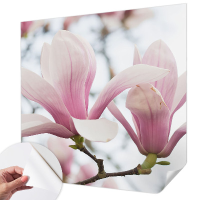 Samoljepljiva fototapeta za dnevni boravak Cvjetovi magnolije