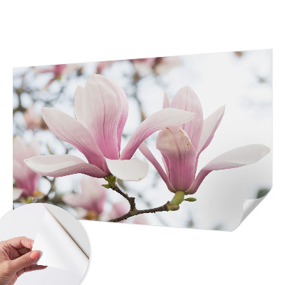 Samoljepljiva fototapeta za dnevni boravak Cvjetovi magnolije
