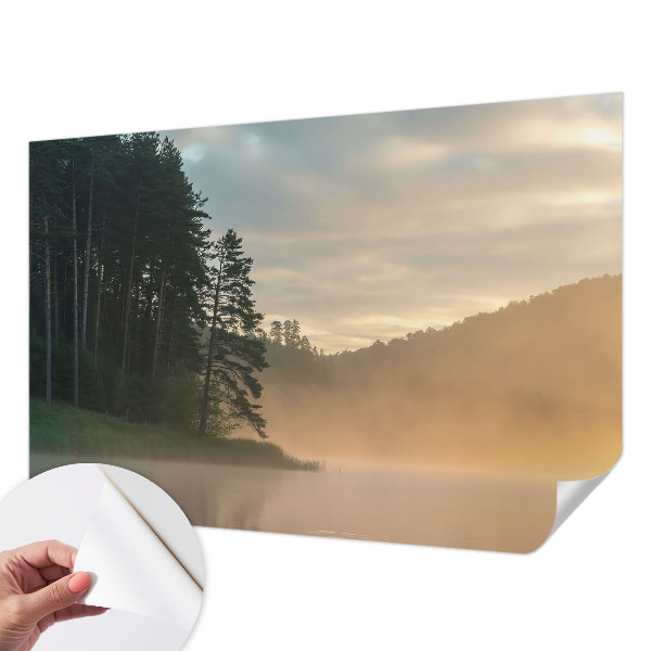 Dječja foto tapeta Maglovito jutro