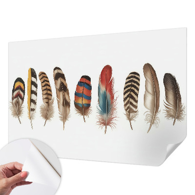 Fototapeta Šareno perje