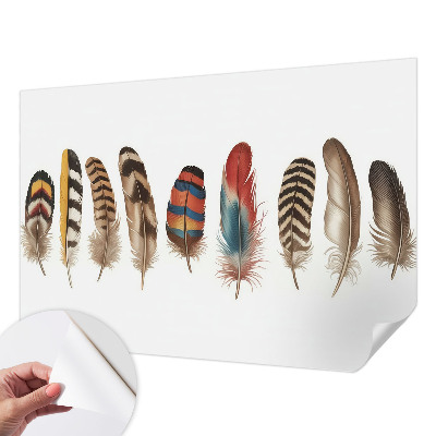 Fototapeta Šareno perje