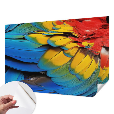 Fototapeta za dječju sobu Dugino perje
