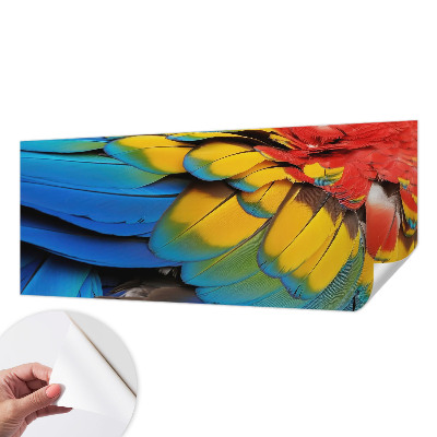 Fototapeta za dječju sobu Dugino perje