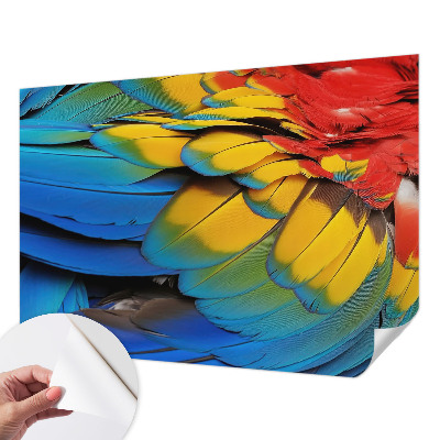 Fototapeta za dječju sobu Dugino perje