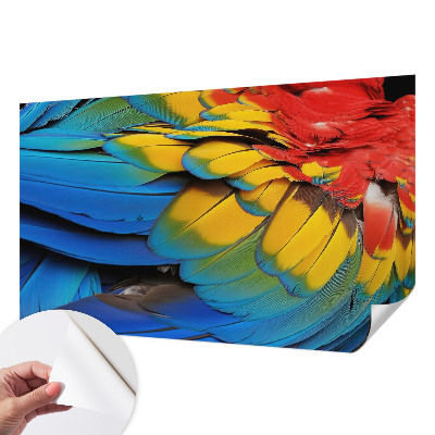 Fototapeta za dječju sobu Dugino perje