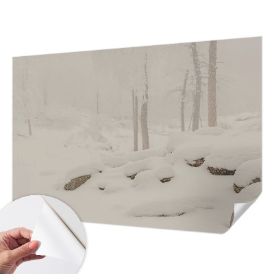 Samoljepljiva foto tapeta Snježna šuma