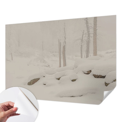 Samoljepljiva foto tapeta Snježna šuma
