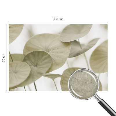 Fototapeta Prirodna elegancija